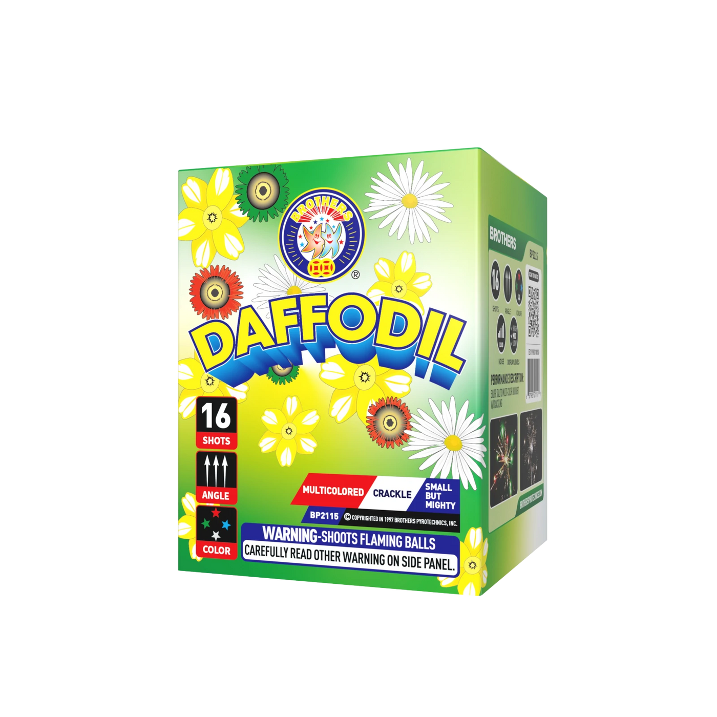 Daffodil - 16 shot
