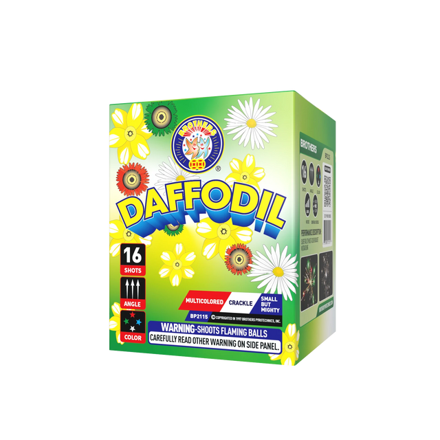 Daffodil - 16 shot