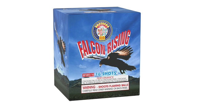 Falcon Rising - 16 Shots
