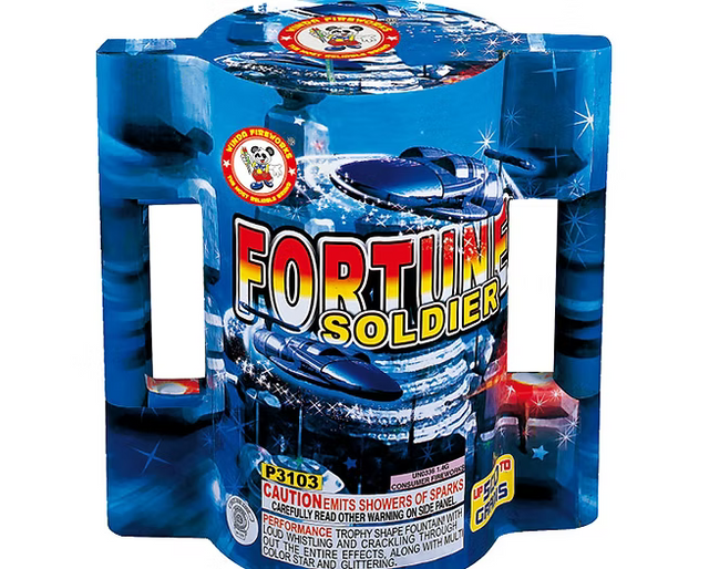 Fortune Soldier