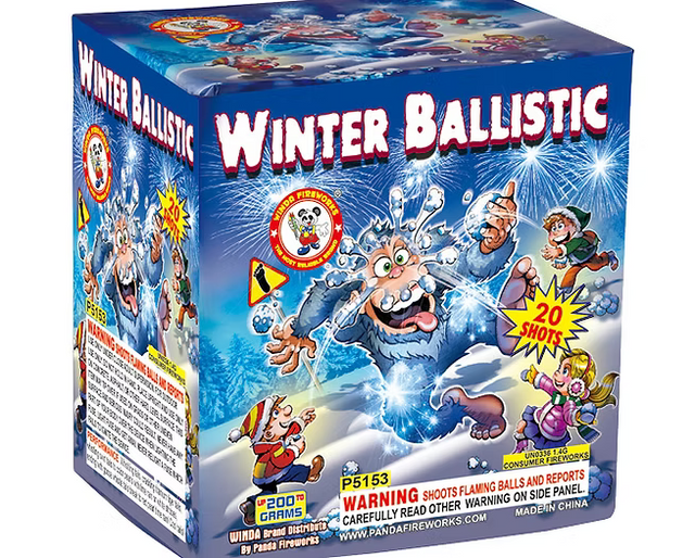 Winter Ballistic - 20 Shots