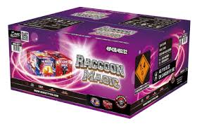 Raccoon Magic