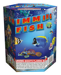 Swimming with the fishes - 27 Shots