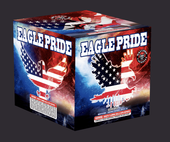 Eagle Pride Fantasy Fireworks Hinsdale, NH, Seabrook, NH